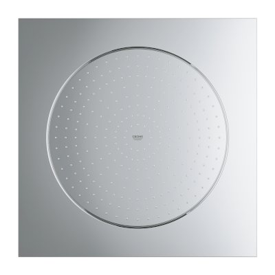 Rsh Fseries 20 Ceiling Shower
