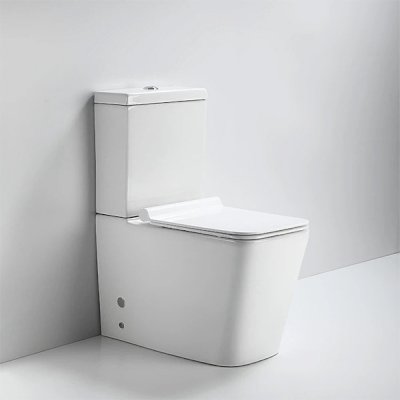 AP8869 P-TRAP (TWO PIECE WC P-TRAP)