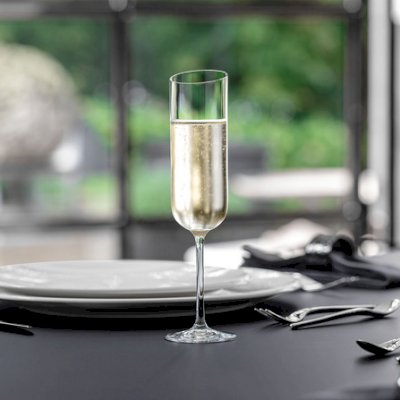 New Moon Champagne Flute Set 4pcs 22.6cm