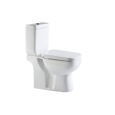 Two Piece P-Trap Wc
