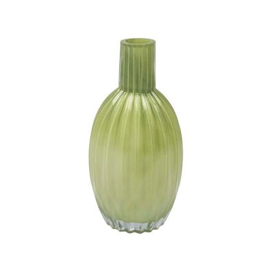 Bottle Vase Assorted Colors