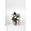 Manufacture Collier Taupe Vase Perle Large 16.5x16.5x18cm - Image 2