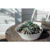 New Wave Salad Bowl/Soup Tureen Small 3000ml - Image 3