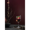 New Moon Red Wine Goblet Set 4pcs 21.8cm - Image 3