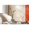 La Divina Champagne Flute Set 4pcs 25.2cm 260ml - Image 3