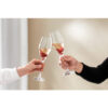 La Divina Champagne Flute Set 4pcs 25.2cm 260ml - Image 2