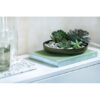Crafted Breeze Deep Plate 21.5x21.5x3.5cm - Image 2